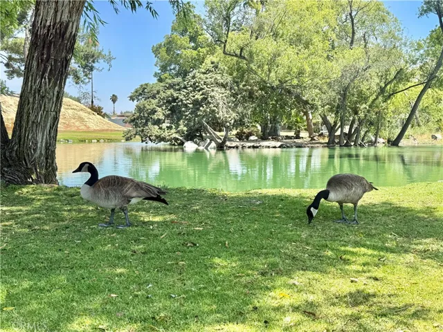 Community Lake