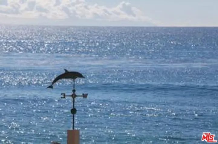 Watch for dolphins and whales