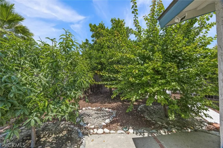 1171 Canyon View Lane, Colton, California 92324