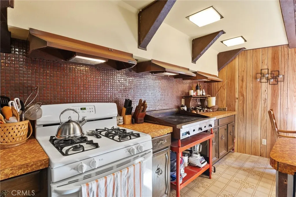 View of stove and commercial-grade griddle