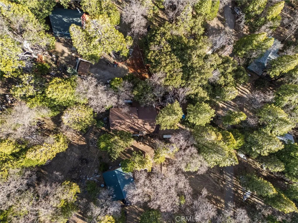 Aerial view of cabin