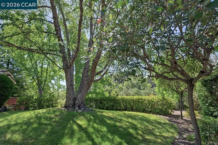 1706 Comstock Dr, Walnut Creek, California 94595