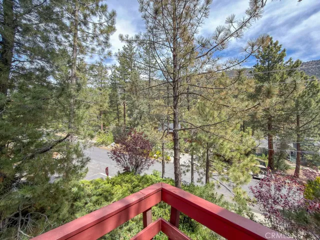 Views from the deck