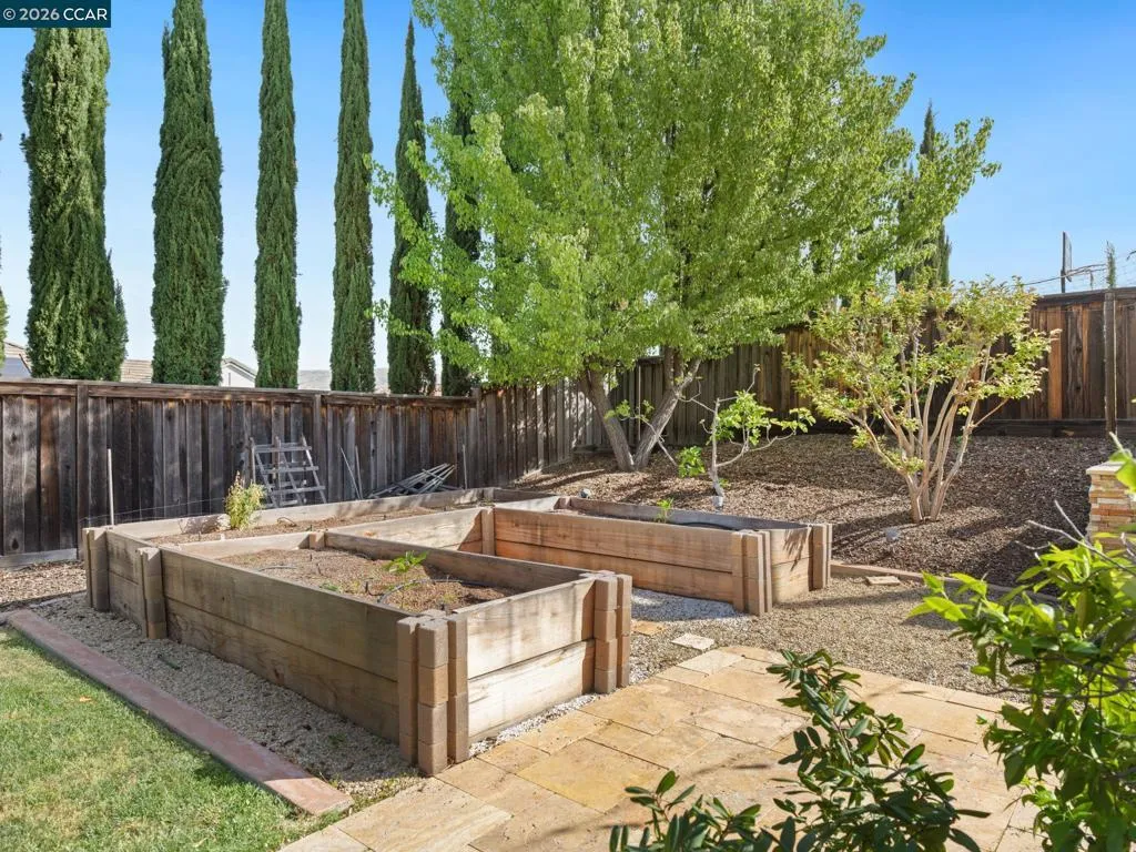 Raised Garden Beds