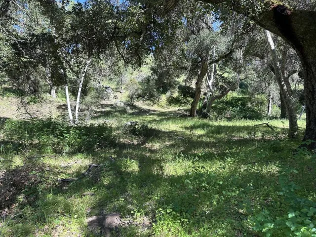 45100 Carmel Valley Road, Greenfield, California 93927