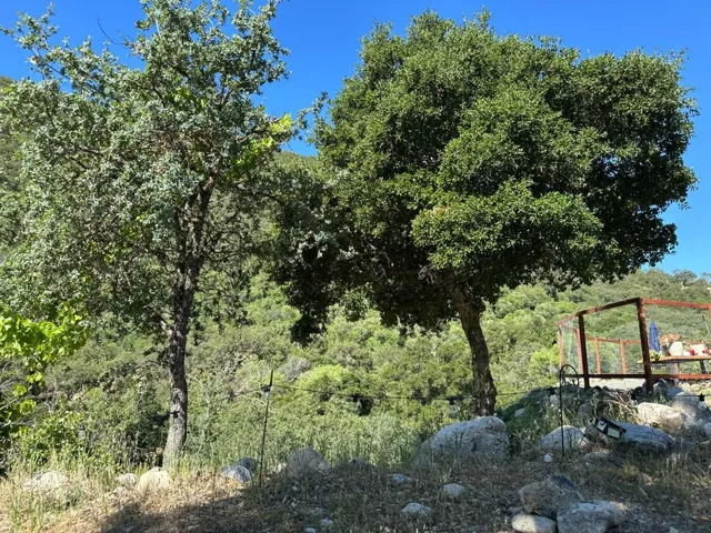 45100 Carmel Valley Road, Greenfield, California 93927