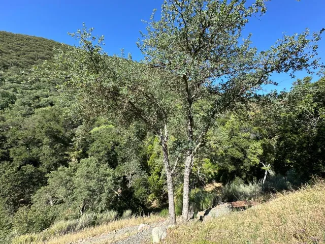 45100 Carmel Valley Road, Greenfield, California 93927