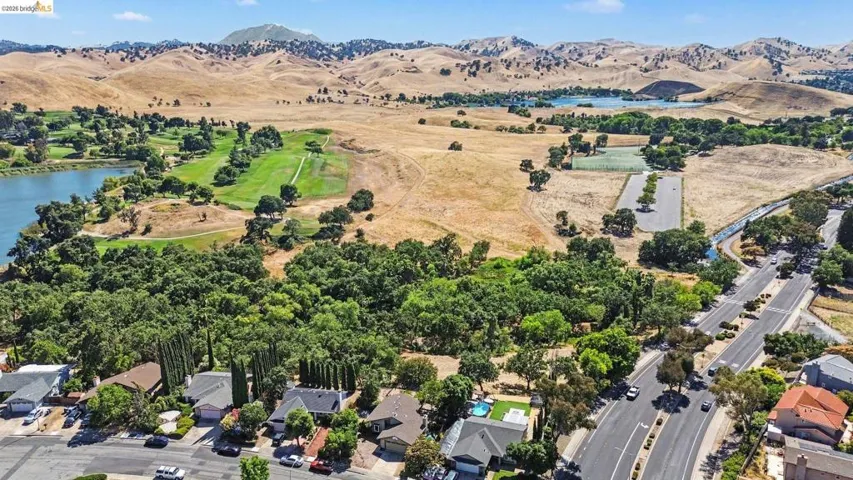 Aerial perspective showcasing a residential street with diverse architectural styles, a mature tree canopy, and distant golf course greens alongside a body of water