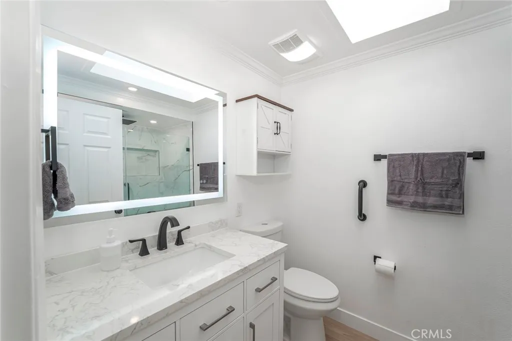 All new construction bathroom, Quartz countertops and LED backlit mirror. What a skylight!
