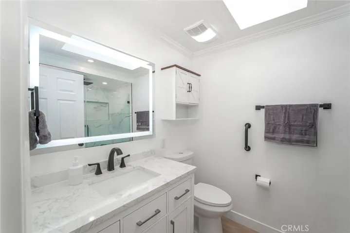 All new construction bathroom, Quartz countertops and LED backlit mirror. What a skylight!