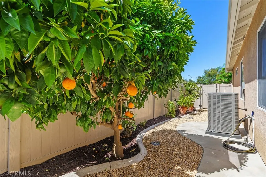 mature fruit trees and newer air conditioner.