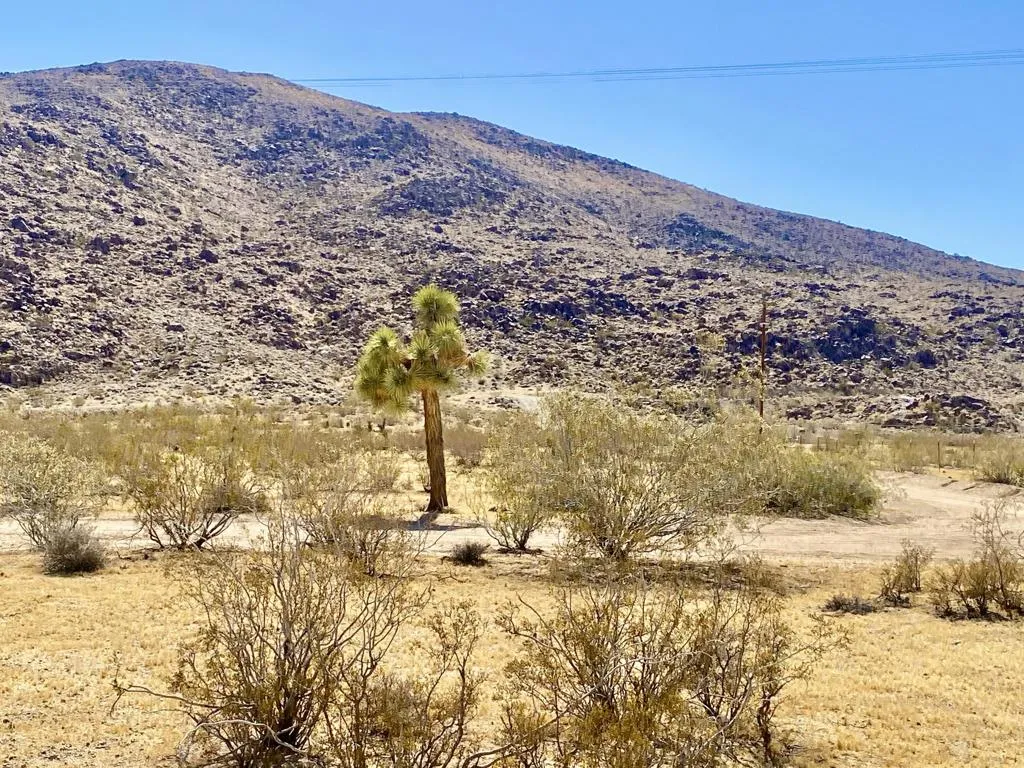 4225 Benji Avenue, Joshua Tree, California 92252 — photo 5