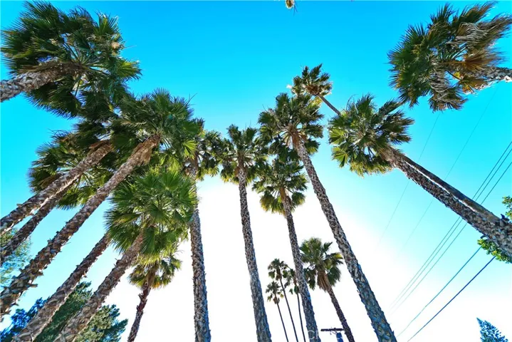 18635 Lanark, Reseda, California 91335