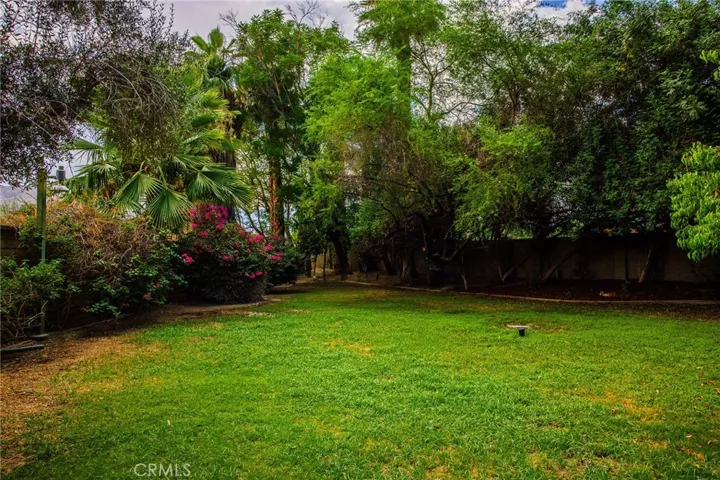 area behind lake