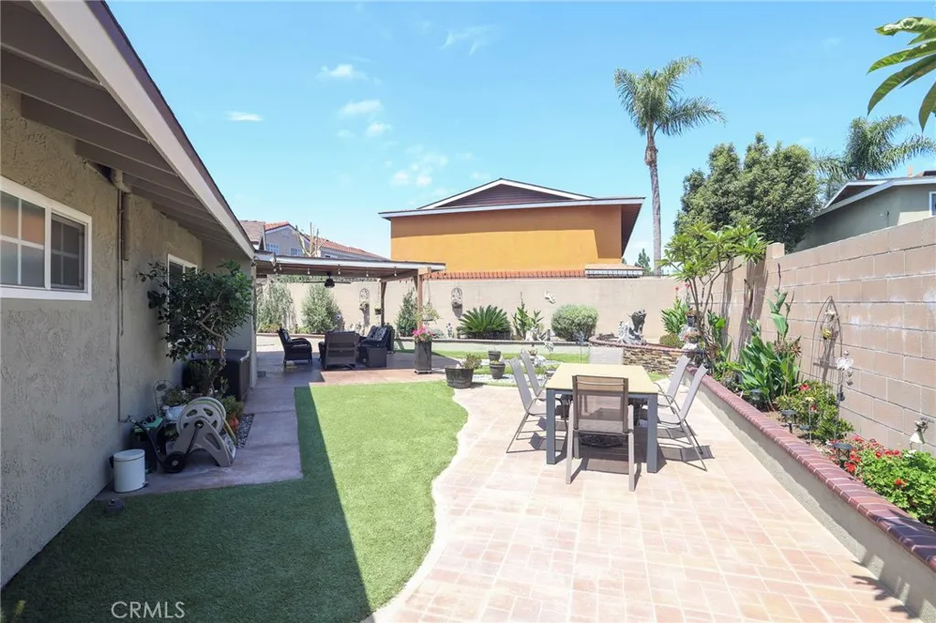 Another View of the Backyard