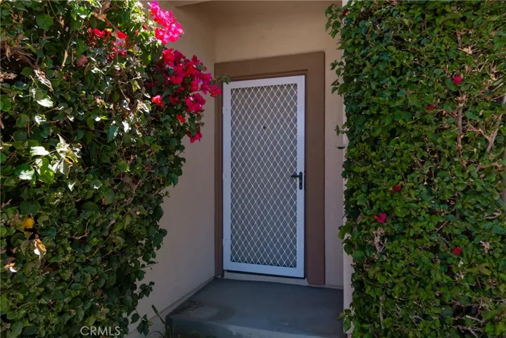 Nice Screen Door