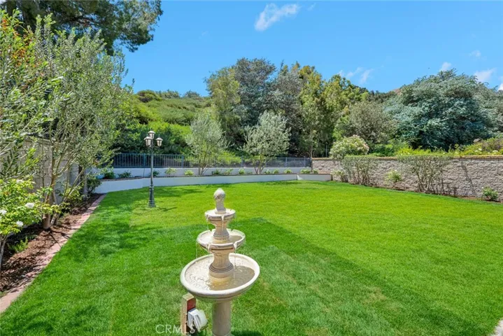 Back yard with  Chino Hills park behind