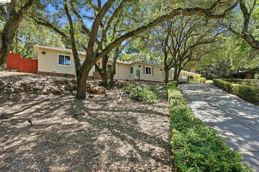 Sloping front yard featuring mature deciduous trees providing dappled shade, a paved driveway lined with manicured hedges, and a subtle beige exterior