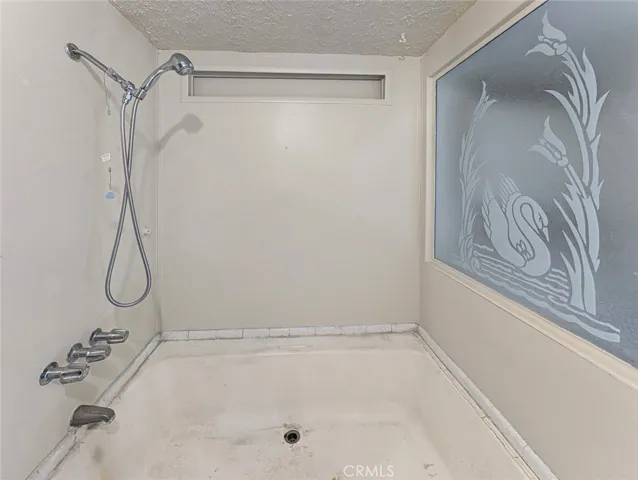 Shower and Garden Tub