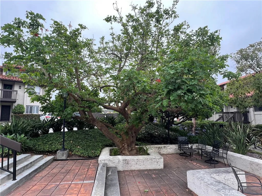 Beautiful flowers and trees.