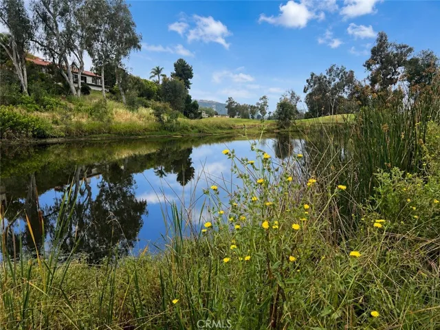 Beautiful nearby pond. AI enhanced blue sky.