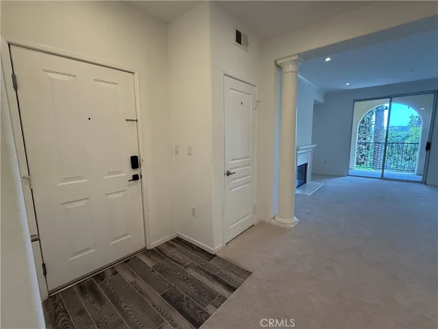 Front door and closet