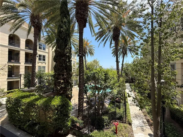 Views of palm trees and pool, hot tub area