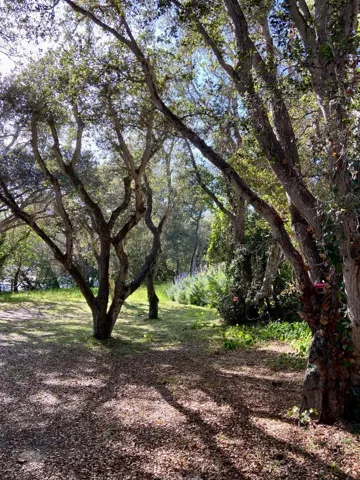 26282 Atherton Drive, Carmel, California 93923