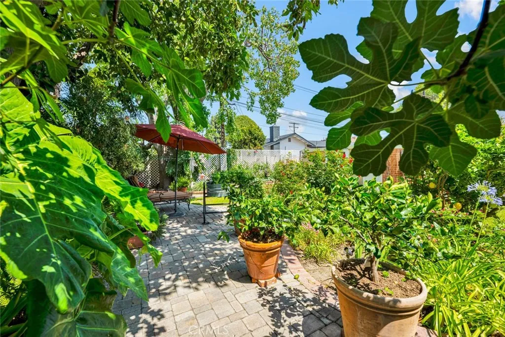 SO MUCH TO EXPLORE IN THE BACKYARD