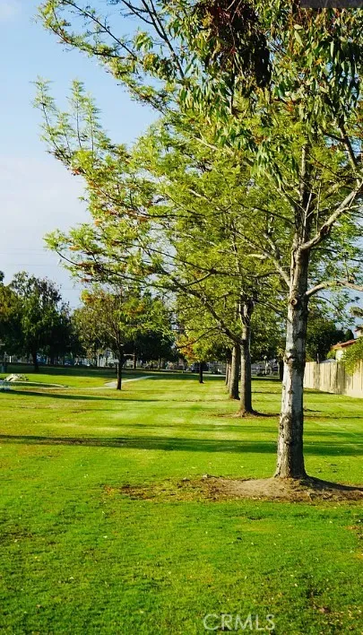 Park on the lake