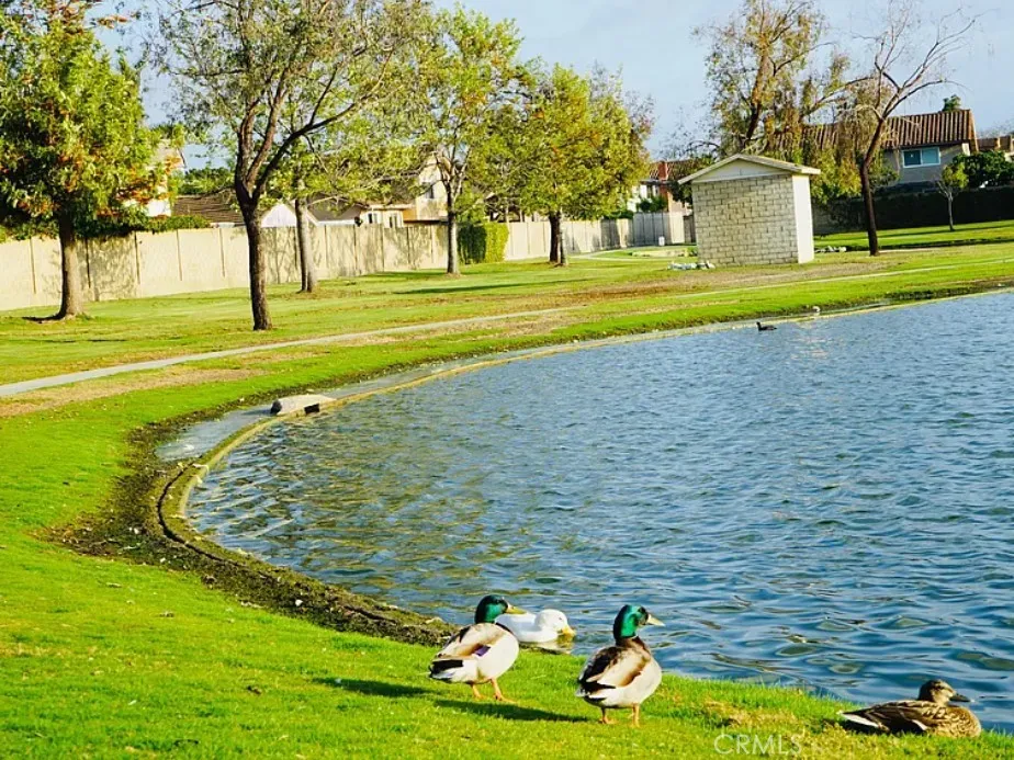 Located next to the lake