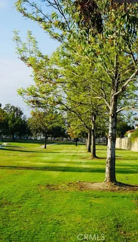 Park on the lake