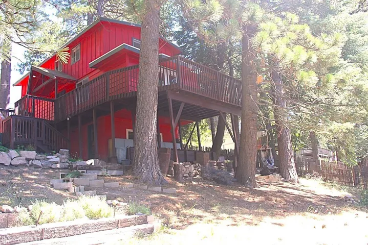 Cabin surrounded by towering trees