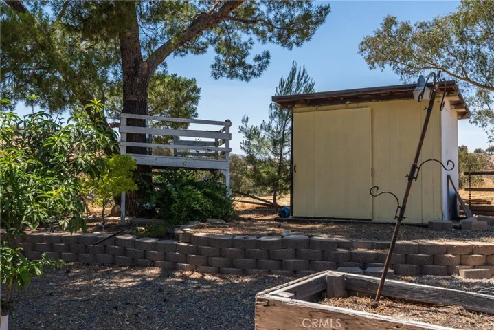 Garden shed and mature fruit and nut trees