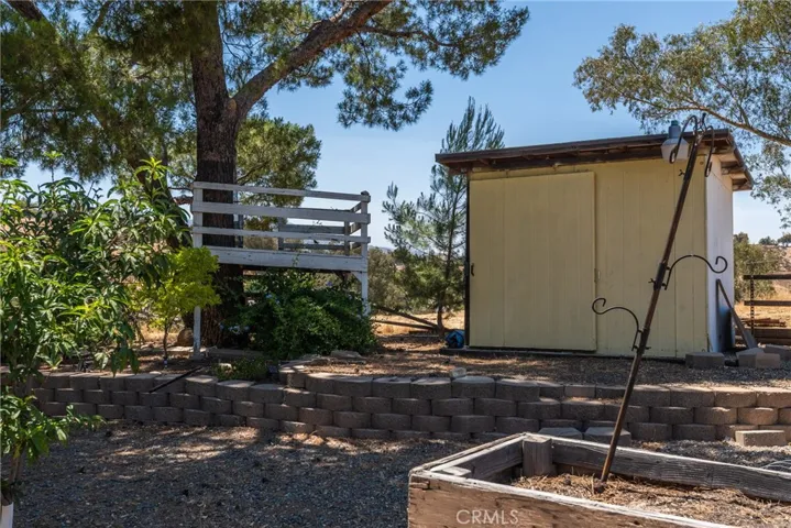 Garden shed and mature fruit and nut trees