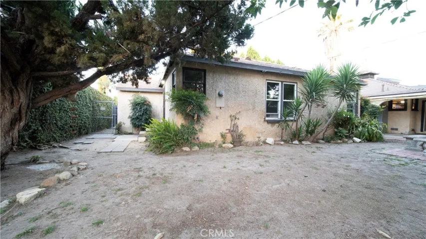 Back Yard