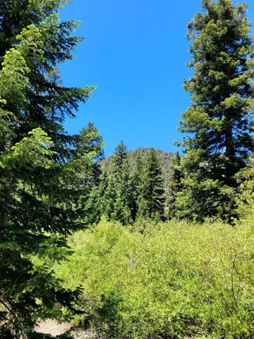 Front Property View