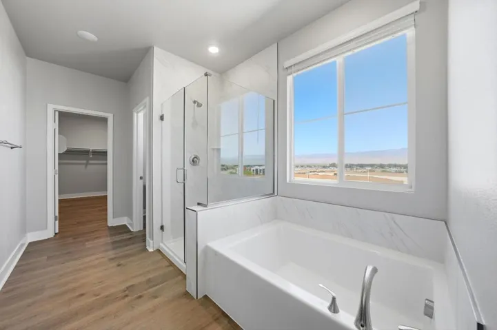 Main bath and shower
