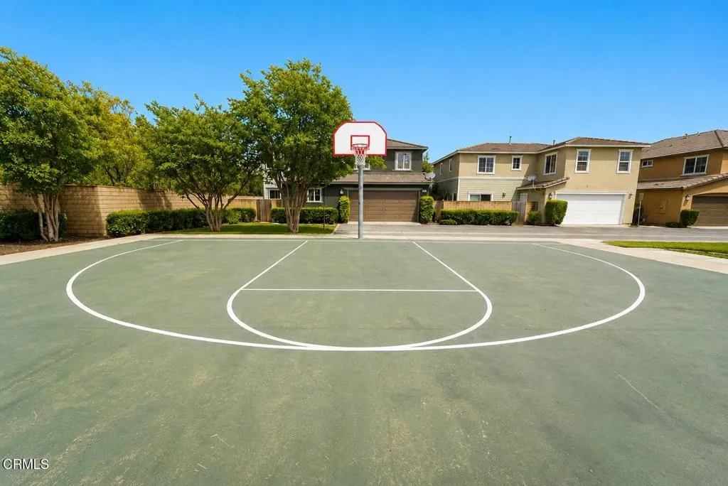 Bball Court
