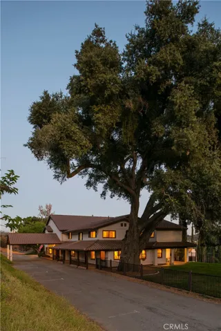 Old Oak