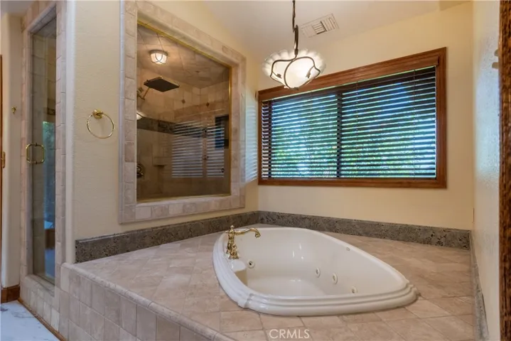Primary Bath 1