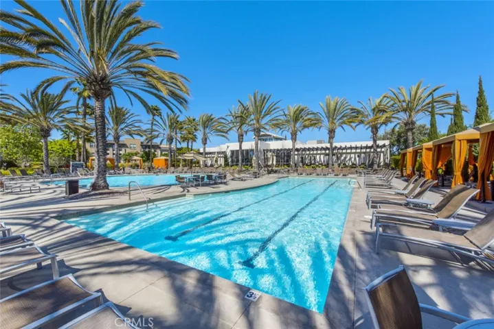 Lap Pool