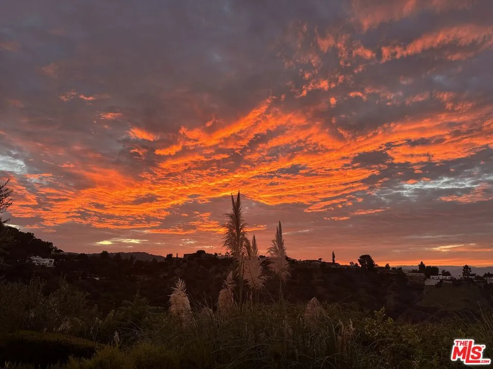 Daily sunsets from the backyar