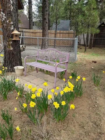 952 D, Big Bear City, California 92314
