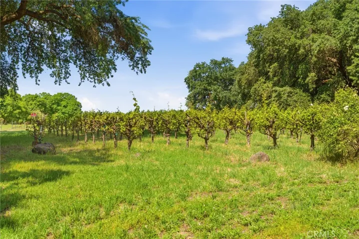 9345 Stanford Lane, Durham, California 95938