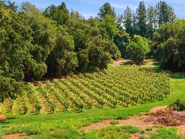 9345 Stanford Lane, Durham, California 95938