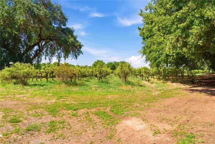 9345 Stanford Lane, Durham, California 95938