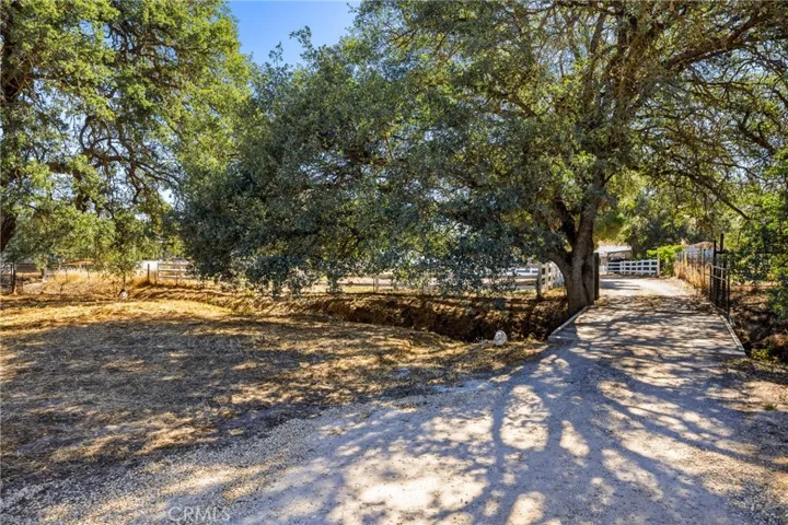 Property Entrance – A picturesque tree-lined entrance welcomes you to the property, where a charming bridge crosses a seasonal creek bed beneath majestic mature oak trees. The shaded driveway and natural landscape create a peaceful country setting.