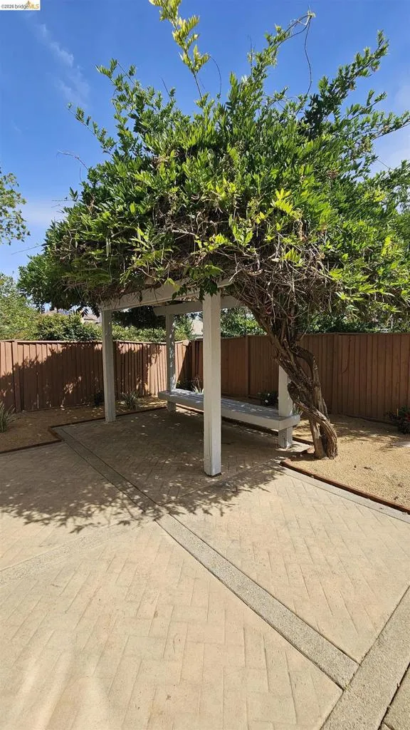 Outdoor pergola with established climbing foliage