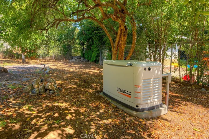 Generac Whole home generator